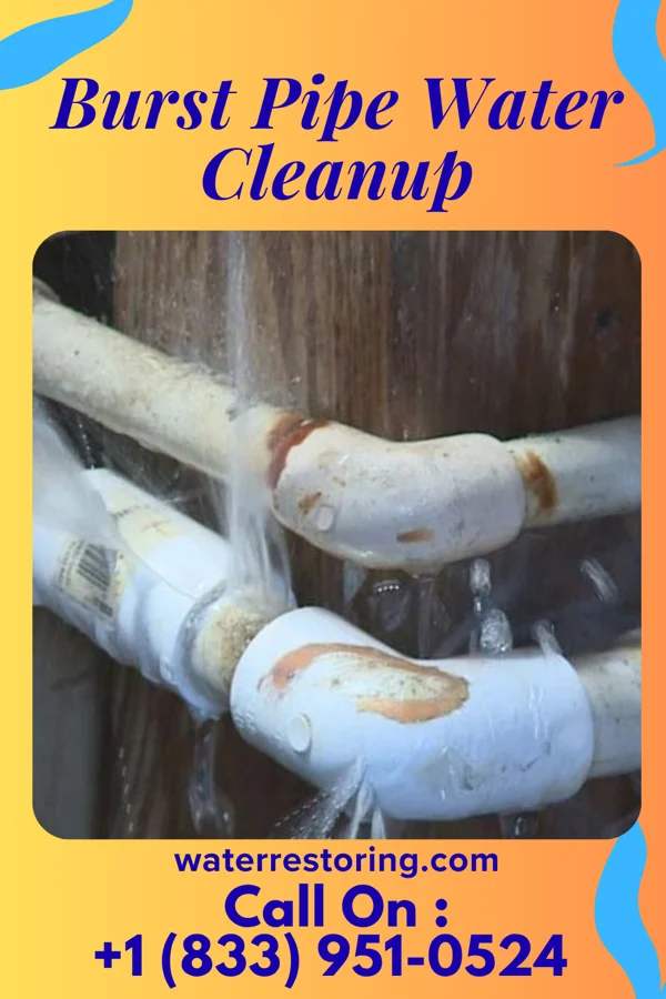 Burst Pipe Water Cleanup in Palouse, WA