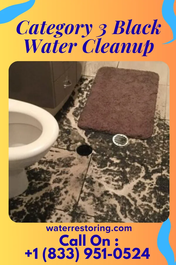 Category 3 Black Water Cleanup in Palouse, WA