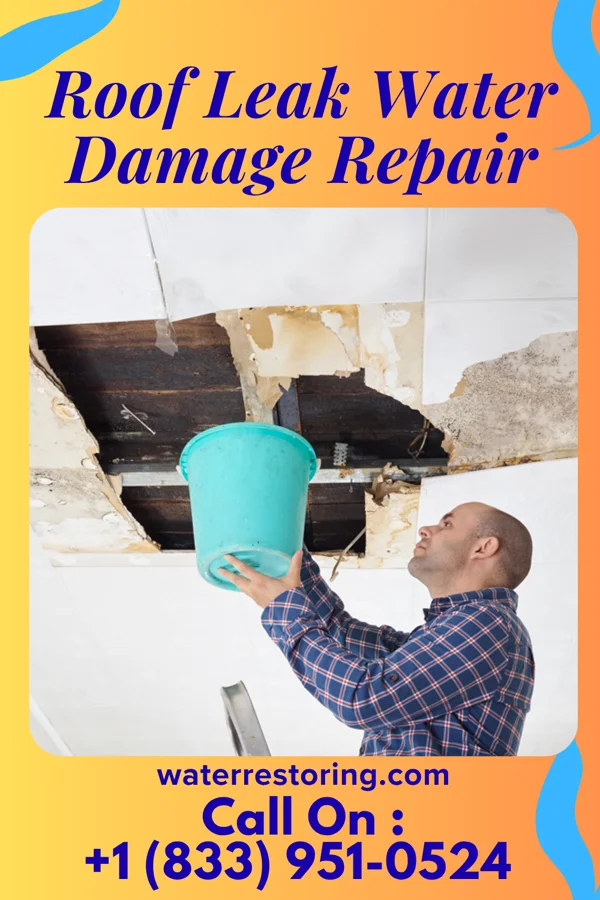 Roof Leak Water Damage Repair in Palouse, WA