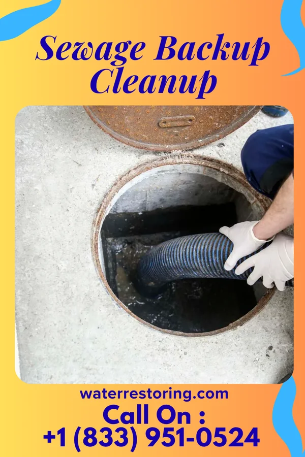 Sewage Backup Cleanup in Palouse, WA