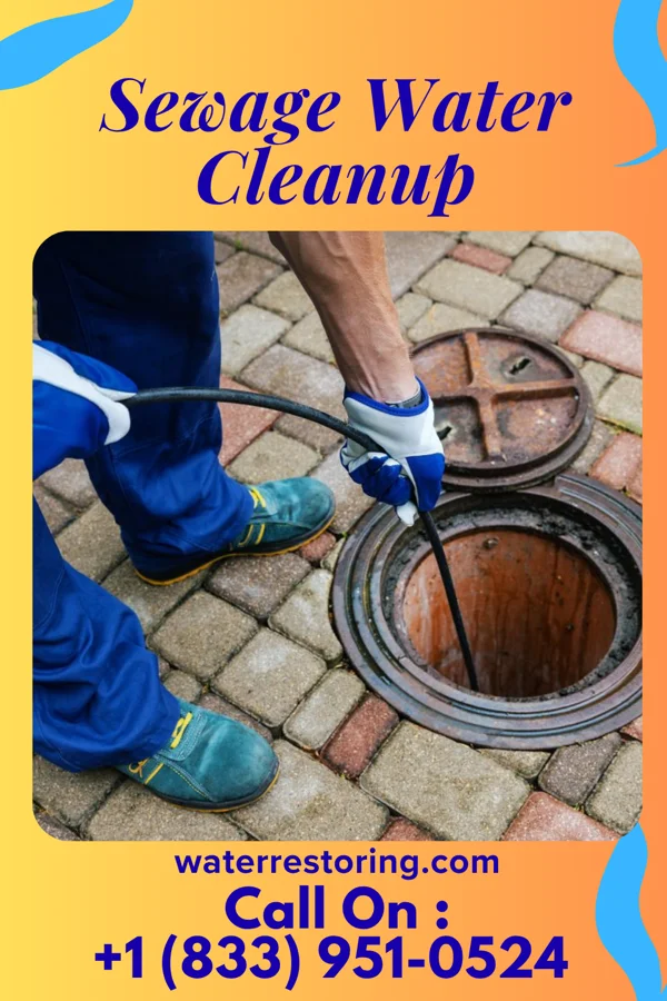 Sewage Water Cleanup in Palouse, WA